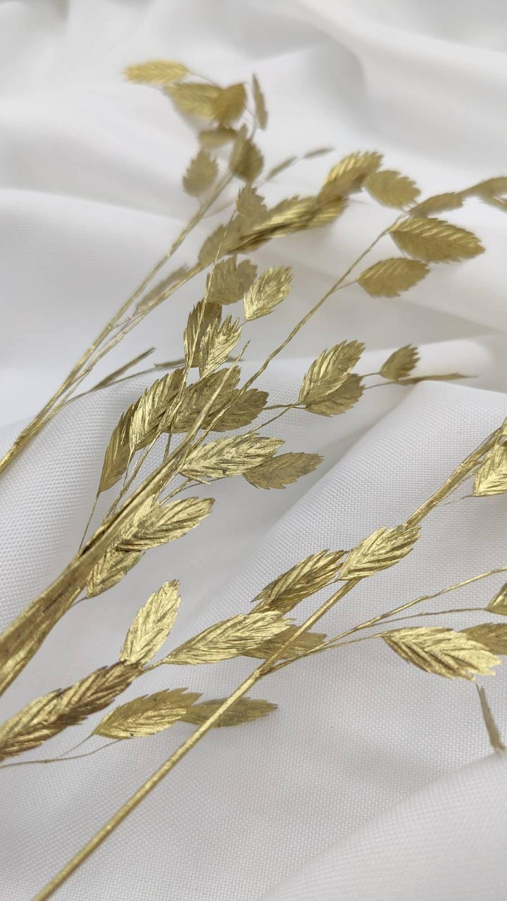 Chasmanthium Plattährengras | Gold 1 Bund - www.Flower-Passion.com