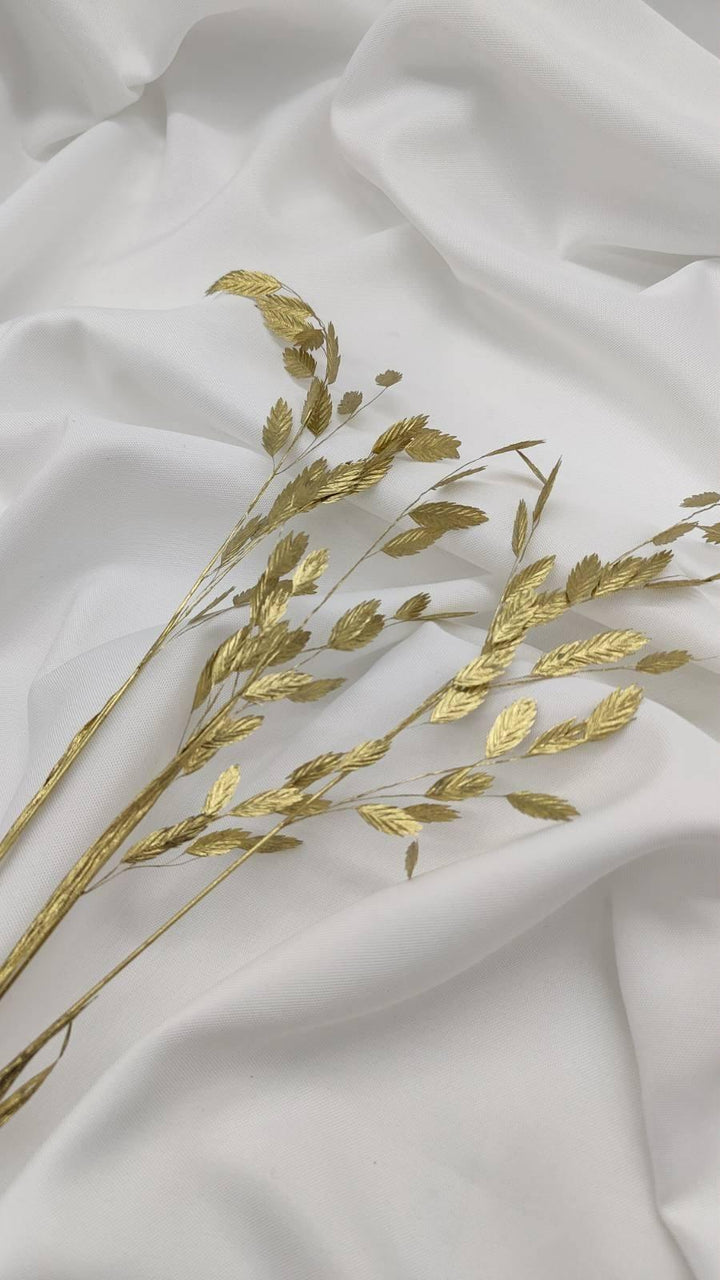 Chasmanthium Plattährengras | Gold 1 Bund - www.Flower-Passion.com