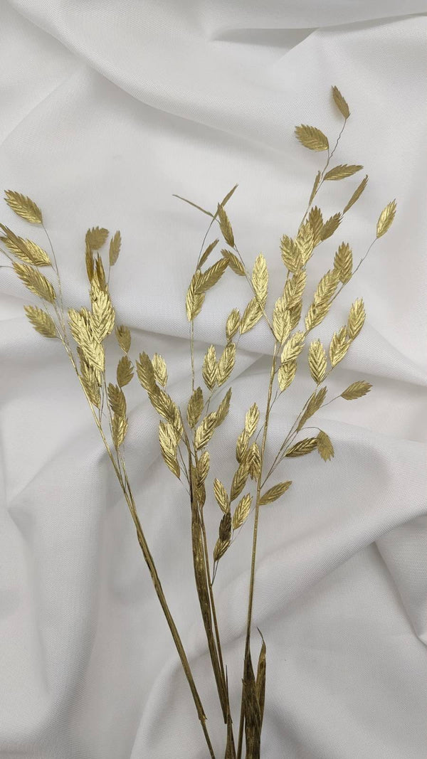 Chasmanthium Plattährengras | Gold 1 Bund - www.Flower-Passion.com