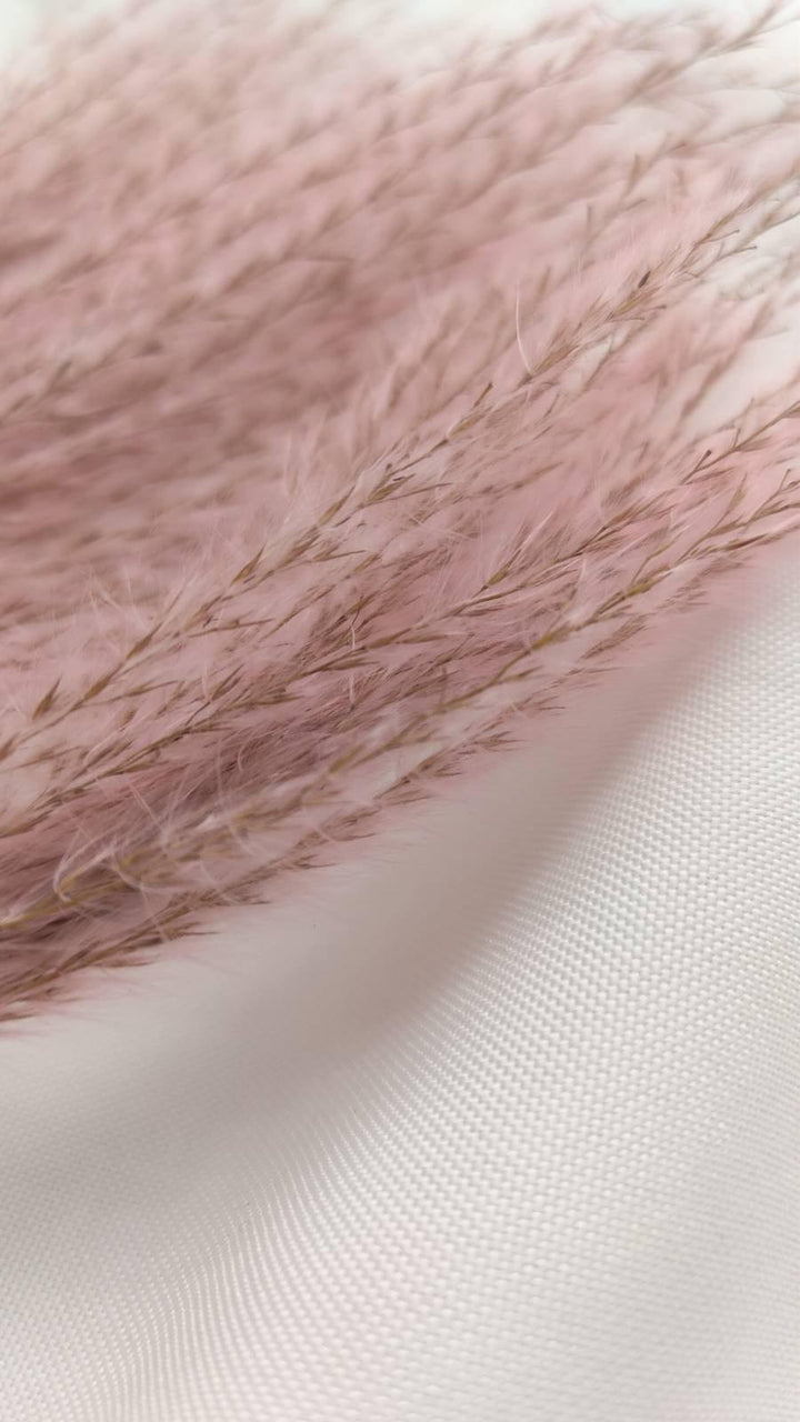 Miscanthus (Federgras/ Stipa) | Rosa 1 Bund - www.Flower-Passion.com