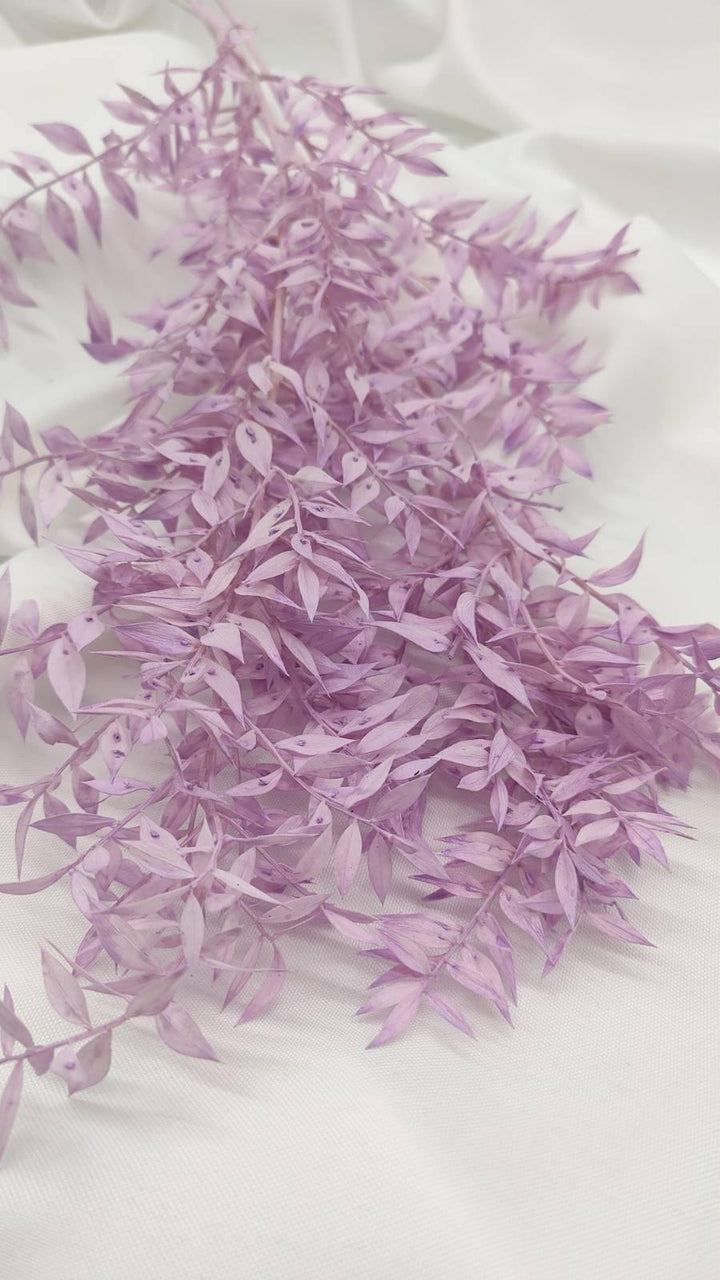 Ruscus Trockenblumen | Flieder 1 Stiel - www.Flower-Passion.com