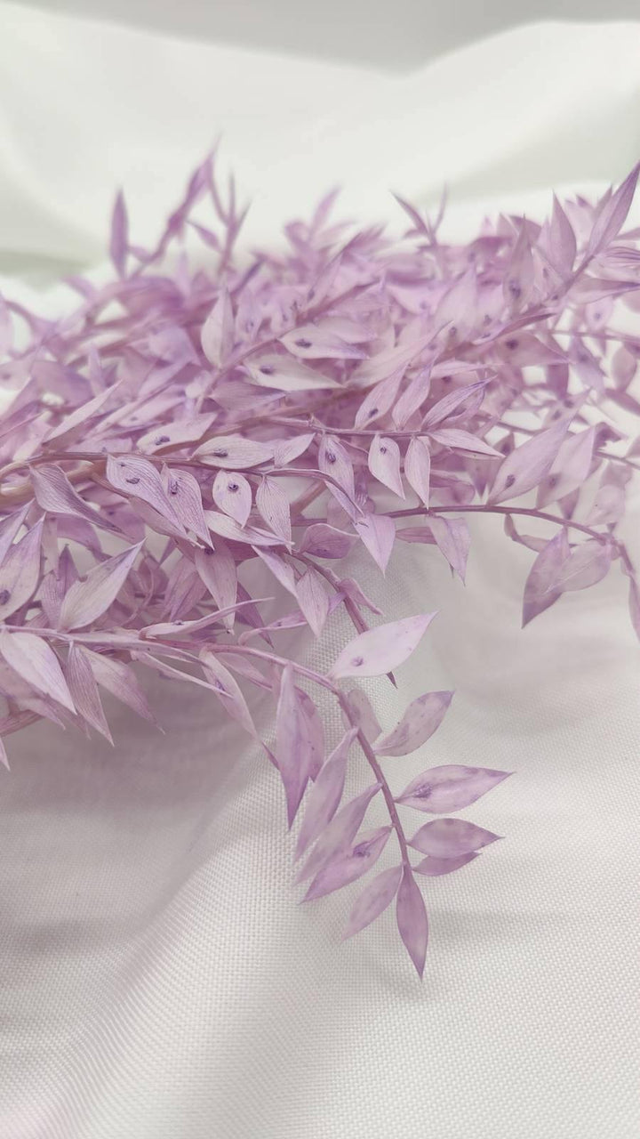 Ruscus Trockenblumen | Flieder 1 Stiel - www.Flower-Passion.com