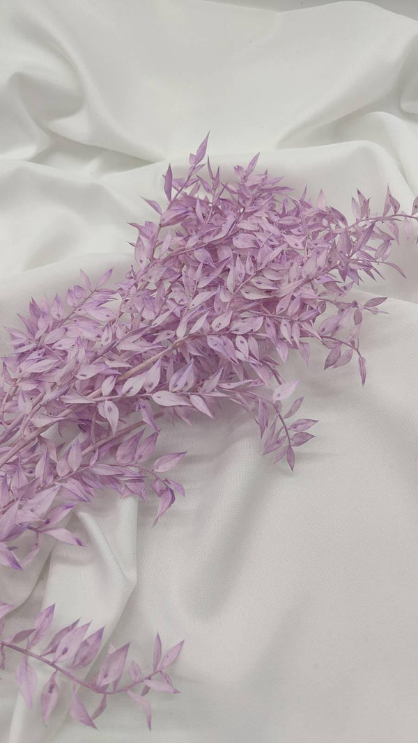 Ruscus Trockenblumen | Flieder 1 Stiel - www.Flower-Passion.com