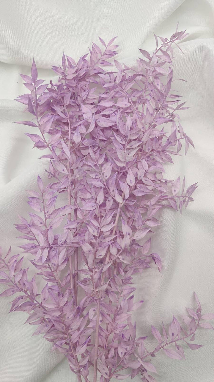 Ruscus Trockenblumen | Flieder 1 Stiel - www.Flower-Passion.com