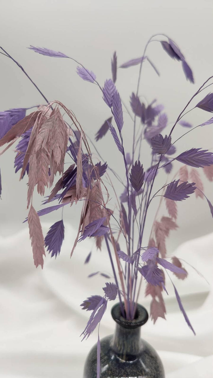 Chasmanthium Plattährengras | Flieder 1 Bund - www.Flower-Passion.com