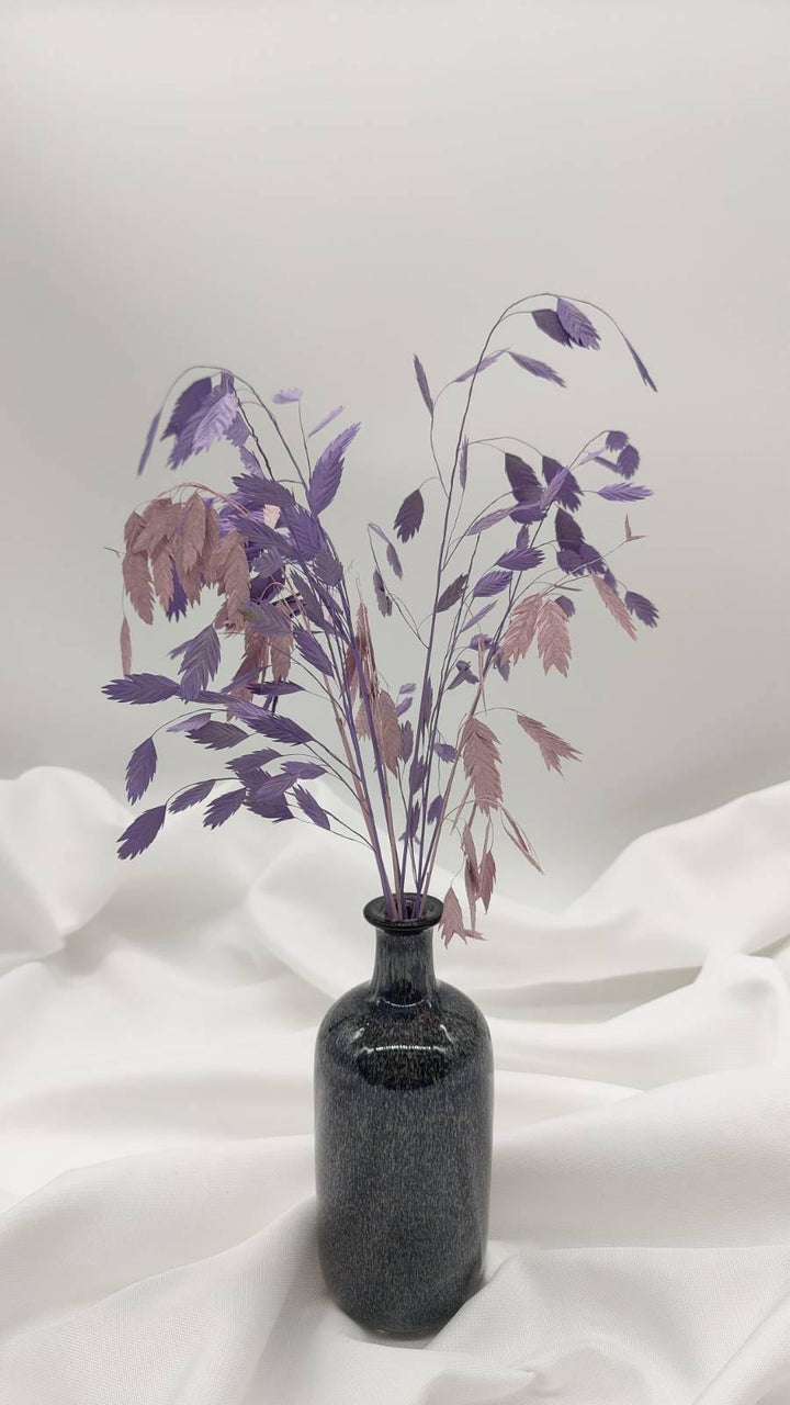 Chasmanthium Plattährengras | Apricot 1 Bund - www.Flower-Passion.com