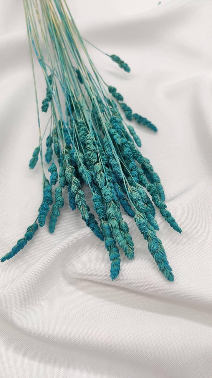 Wildgras Trockenblumen | Türkis (1 Bund) - www.Flower-Passion.com