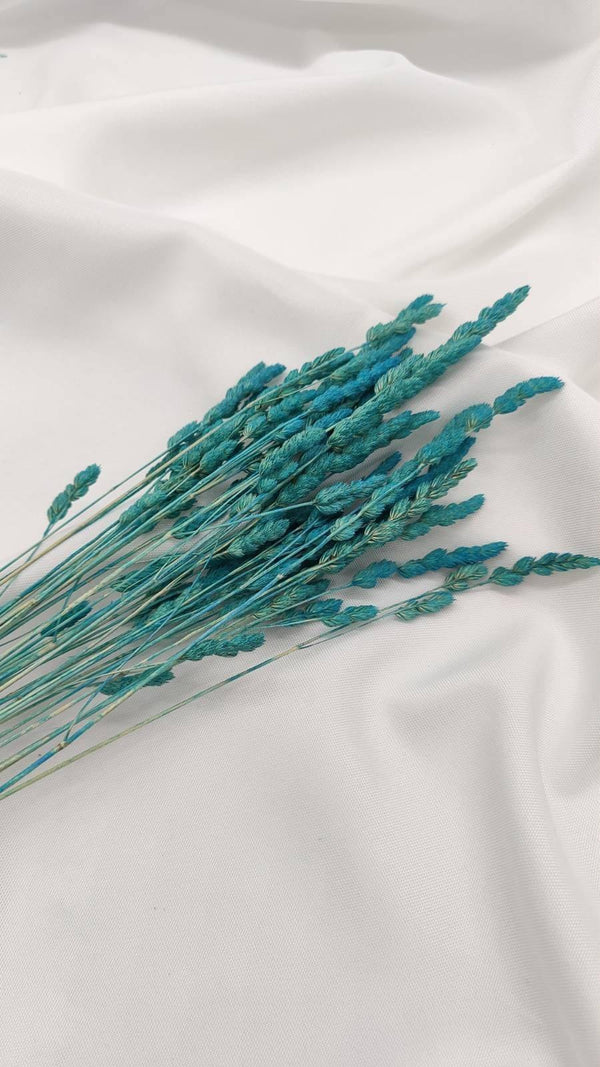 Wildgras Trockenblumen | Türkis (1 Bund) - www.Flower-Passion.com