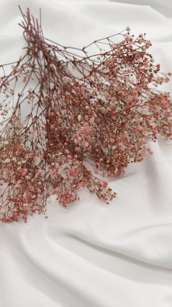 Schleierkraut Trockenblumen | Rosa (1 Bund) - www.Flower-Passion.com